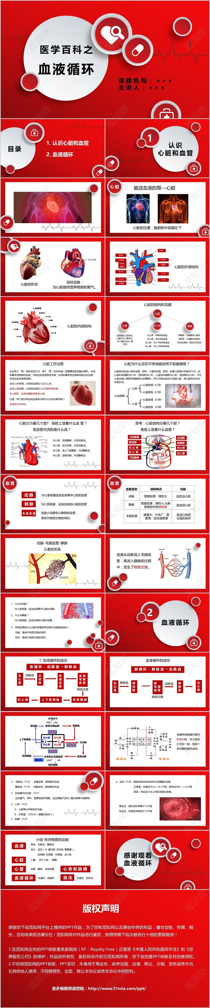 红色简约医学百科血液循环医疗教育培训汇报课件PPT模板