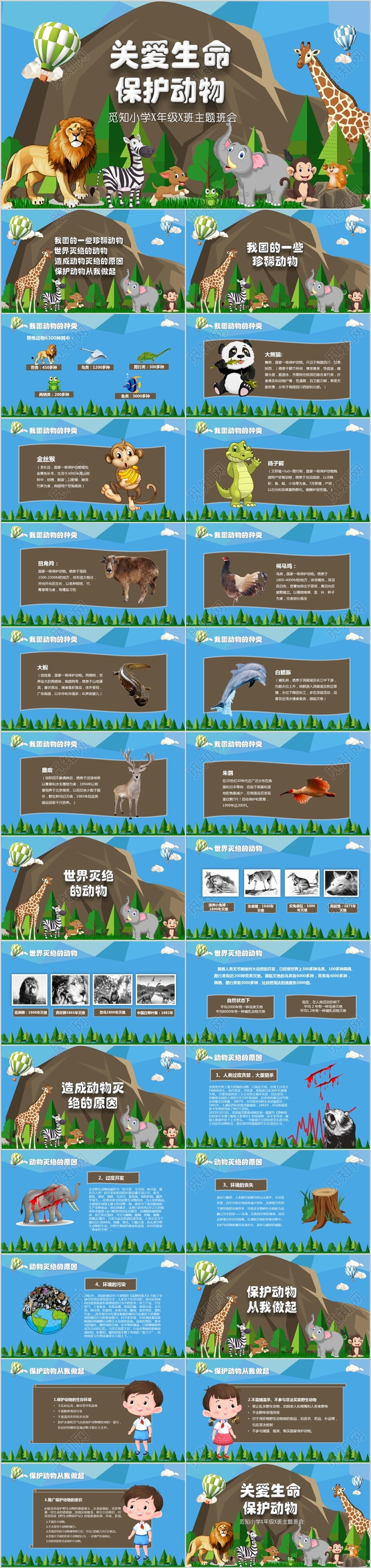 卡通儿童清新关爱生命保护动物校园主题班会课件PPT