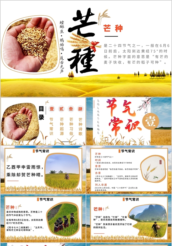 黄色简约二十四节气之芒种节气介绍PPT模板