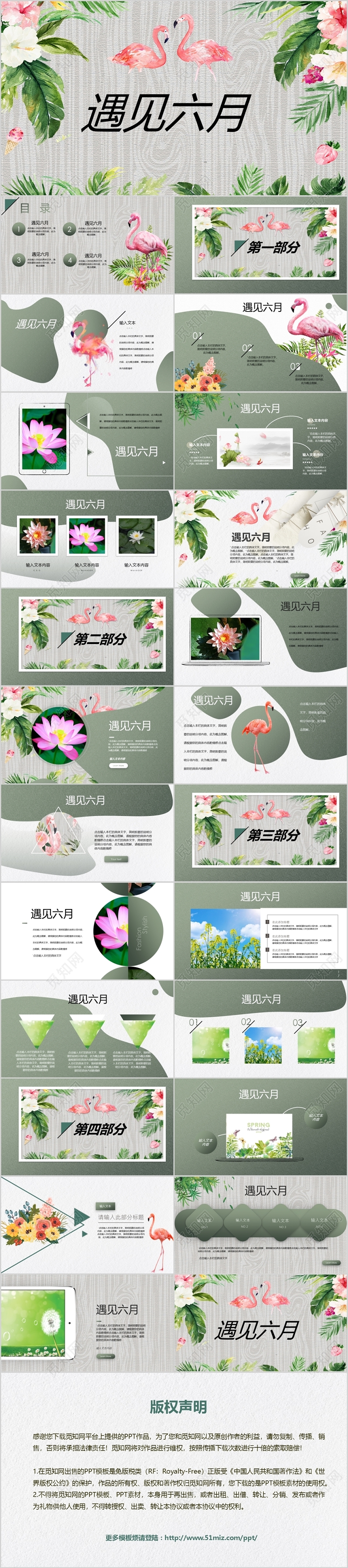 绿意盎然水彩手绘火烈鸟遇见六月小清新通用PPT动态模板