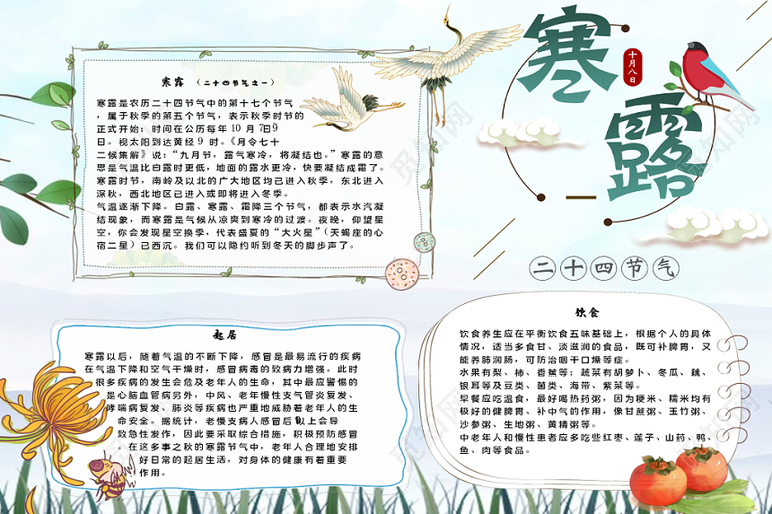 简约清新二十四节气之寒露节气宣传小报Word模板