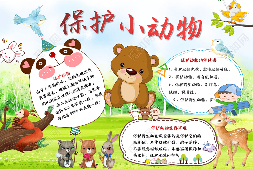 彩色卡通森林小熊小鸟保护小动物宣传手抄报word模板