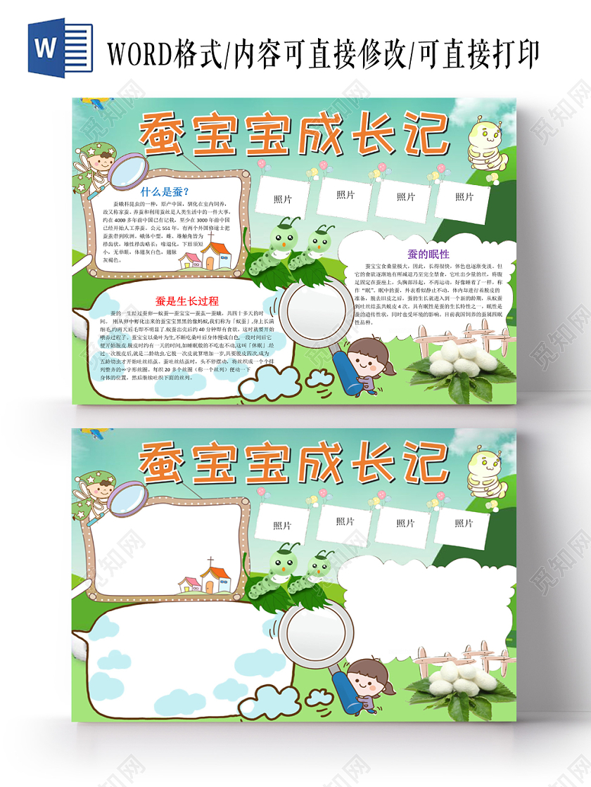可爱卡通蚕宝宝成长记手抄报word模板