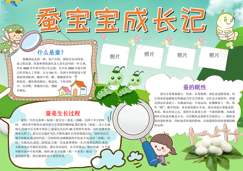 可爱卡通蚕宝宝成长记手抄报word模板