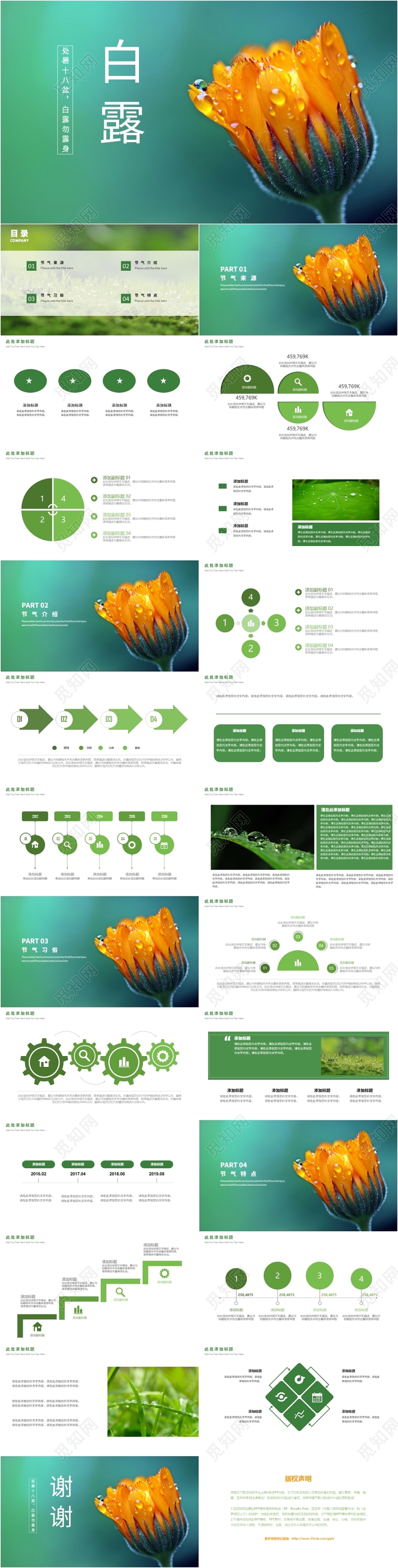 绿色小清新二十四节气白露PPT模板