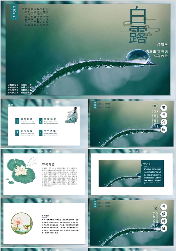 绿色小清醒自然风格二十四节气之白露节气介绍PPT模板