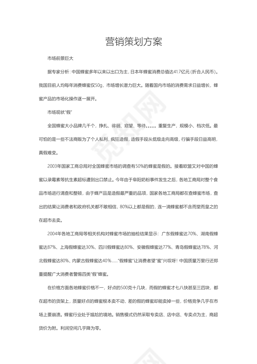 营销策划方案word模板