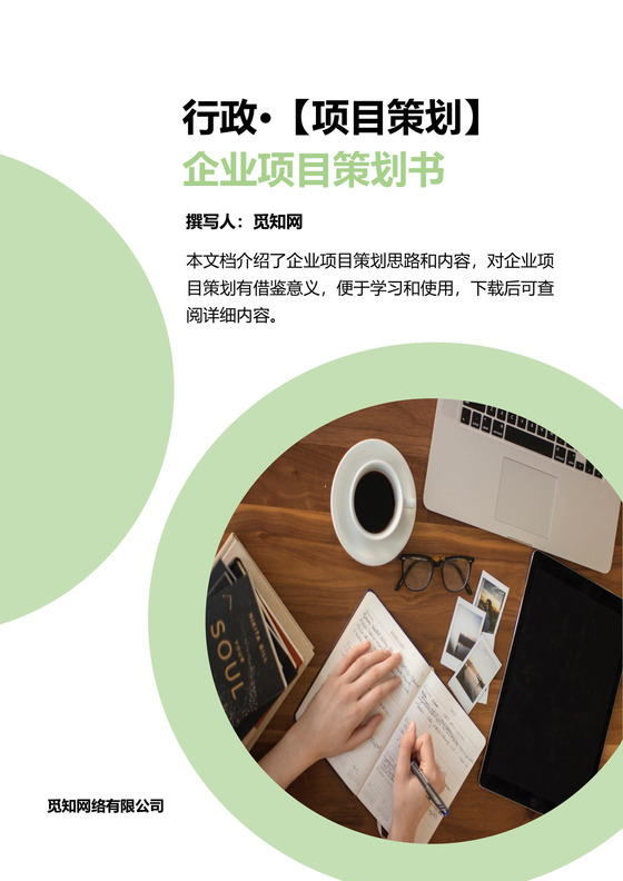 行政企业项目策划书word模板