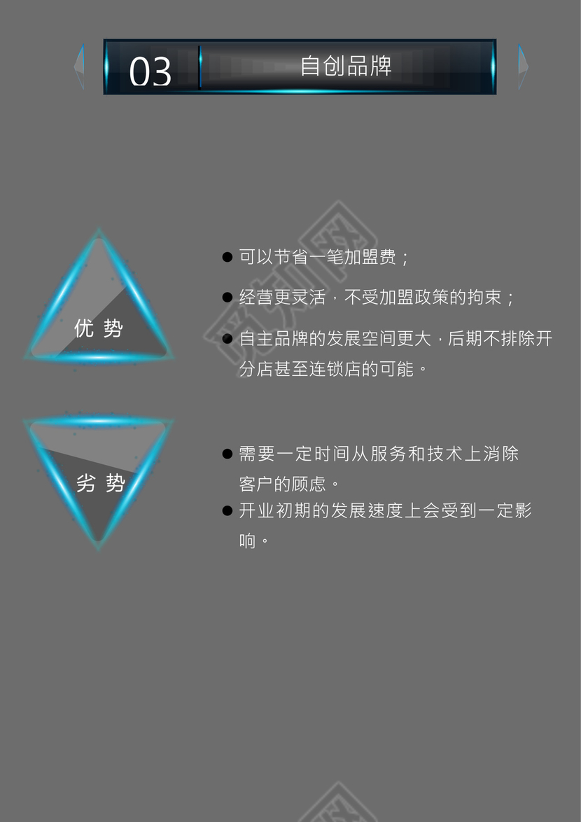 高端创业融资项目商业计划书创新创业计划书