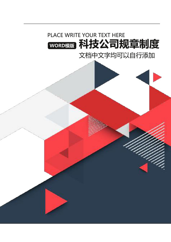 科技公司规章制度范本Word文档