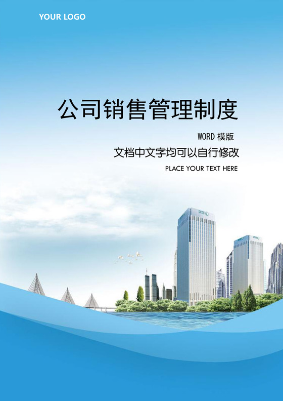 公司销售管理制度Word文档