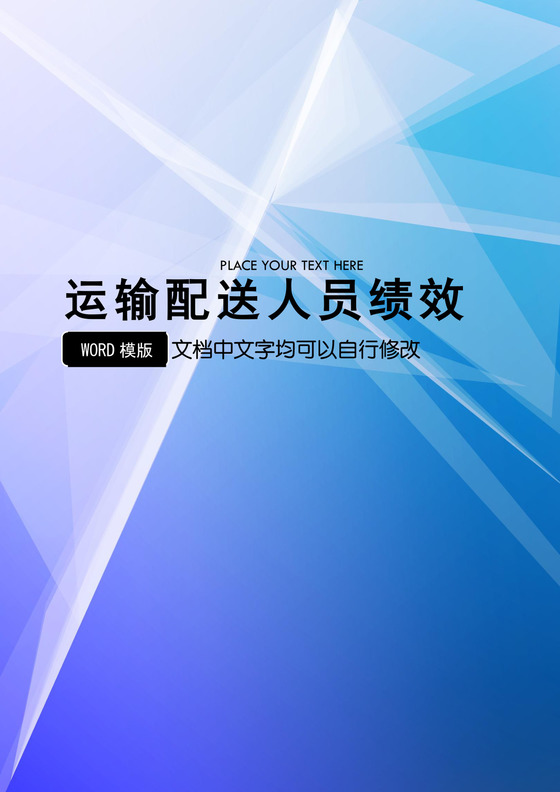 运输配送人员绩效考核Word文档