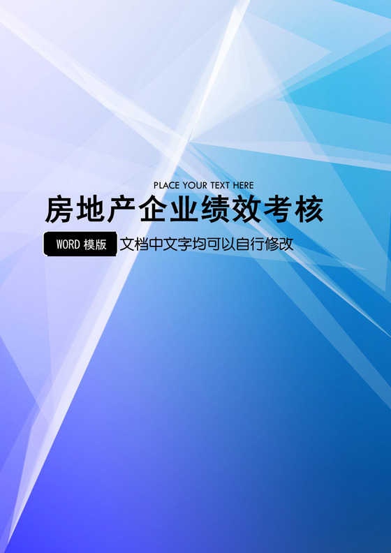 房地产企业绩效考核全案Word文档