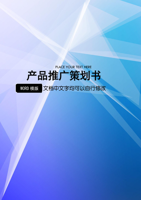 产品推广策划书word文档