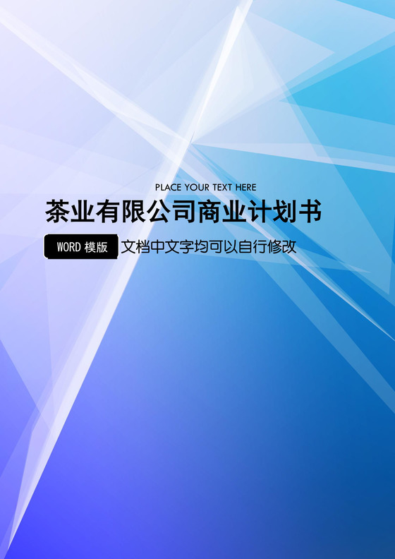 茶业有限公司商业计划书