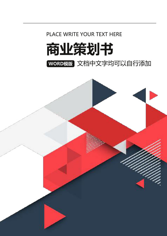 商业计划书策划方案word模板
