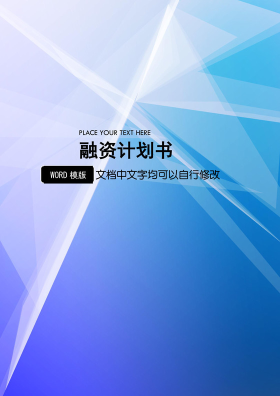 融资说明书word模板