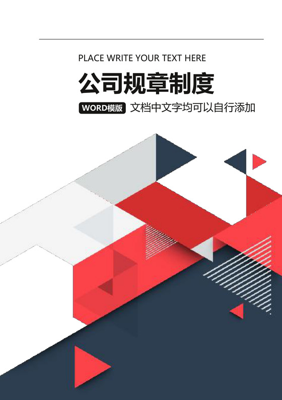 公司规章制度Word文档