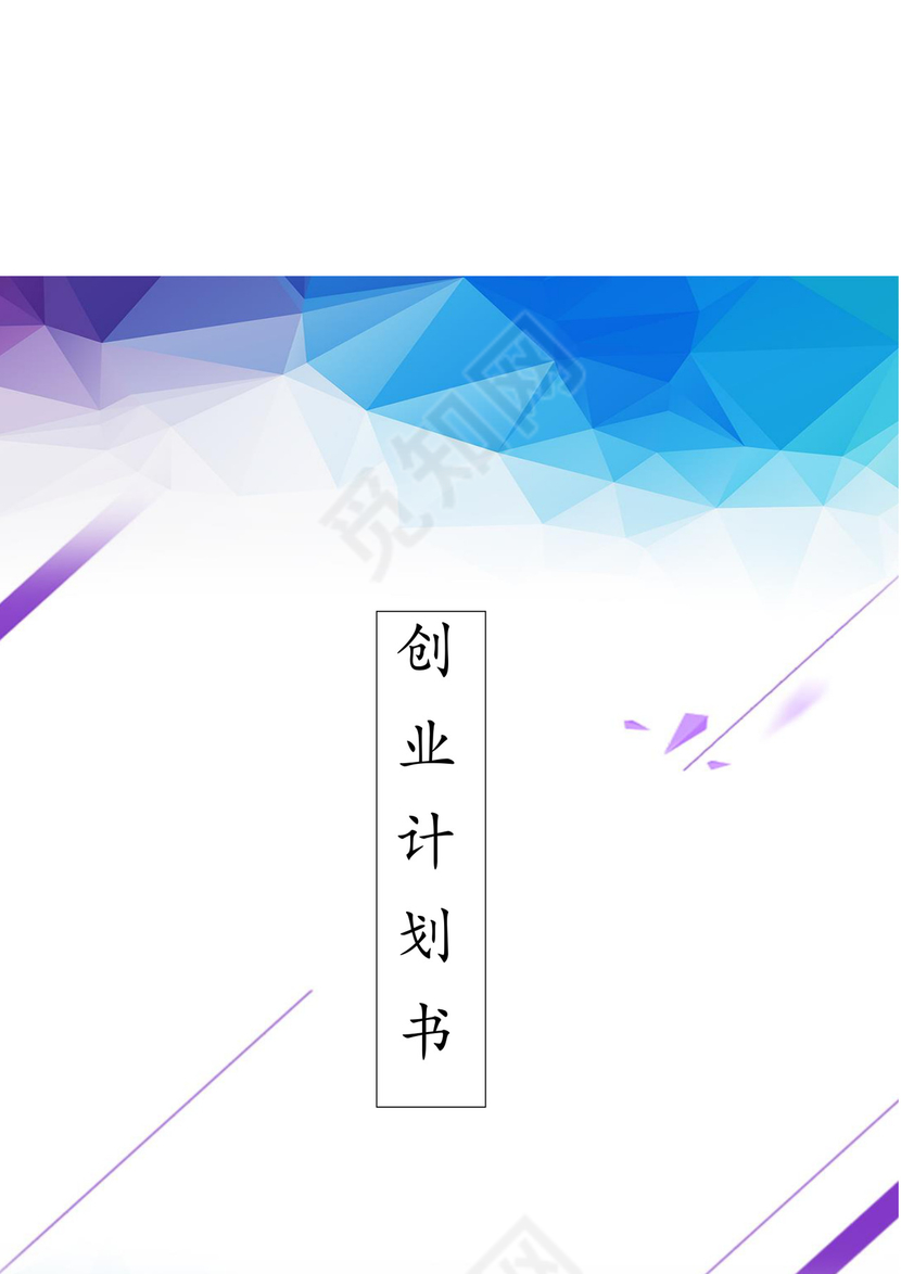 专业规范实用的商业策划书word模板