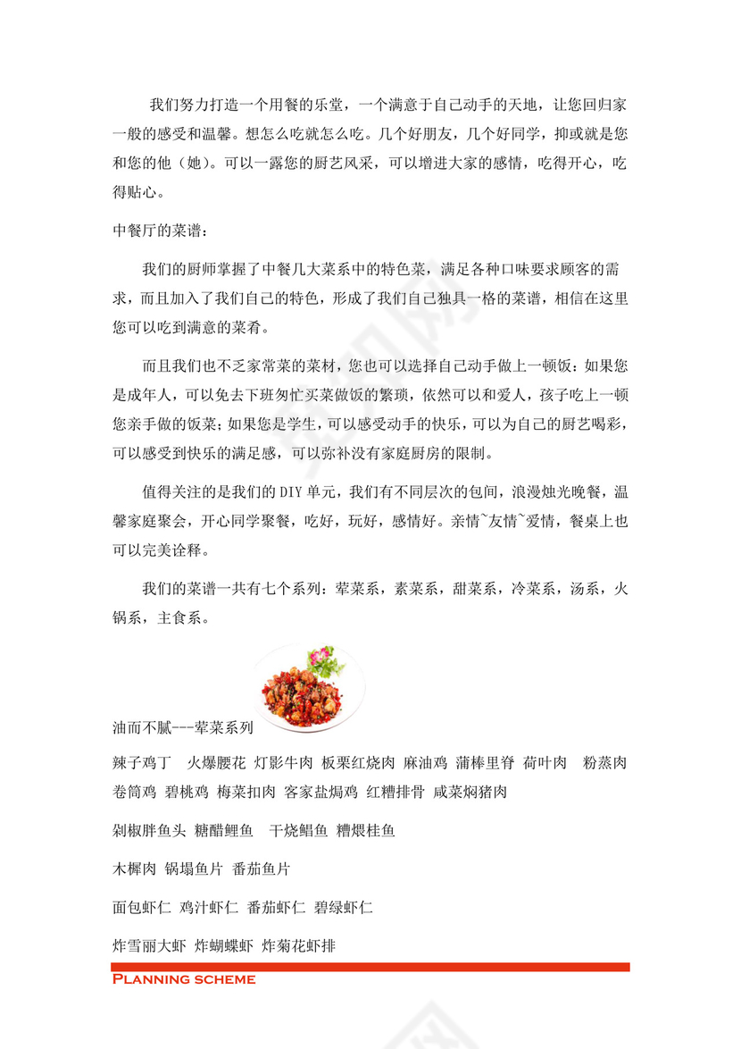 专业规范实用的商业策划书word模板