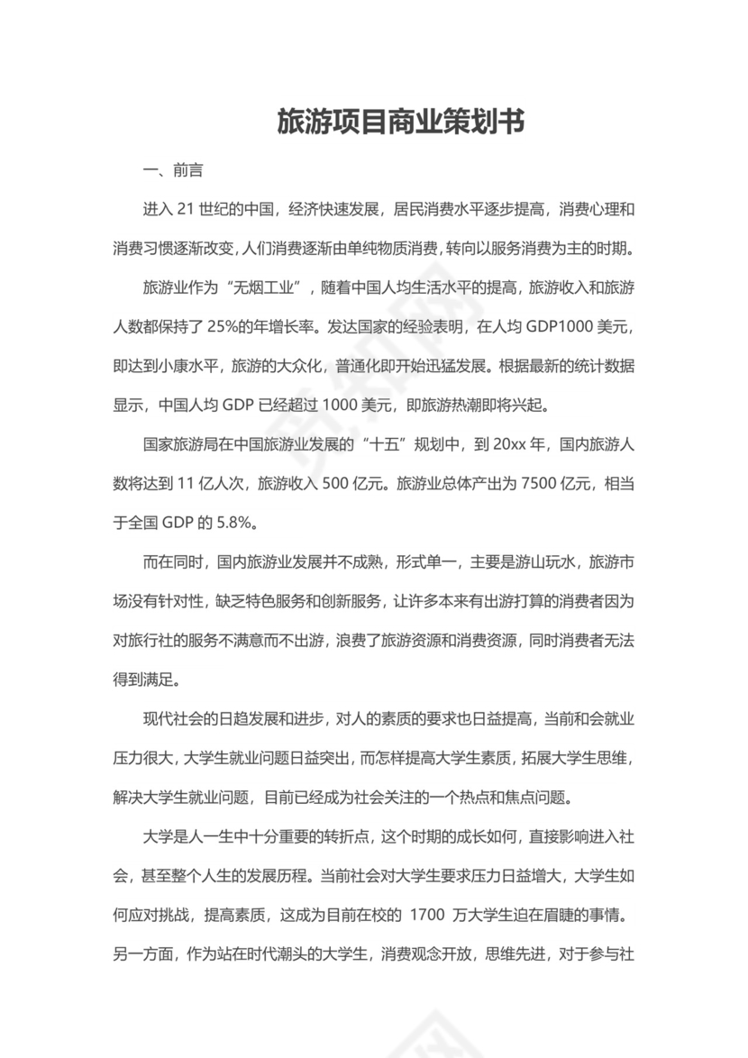 旅游公司项目商业策划书word模板