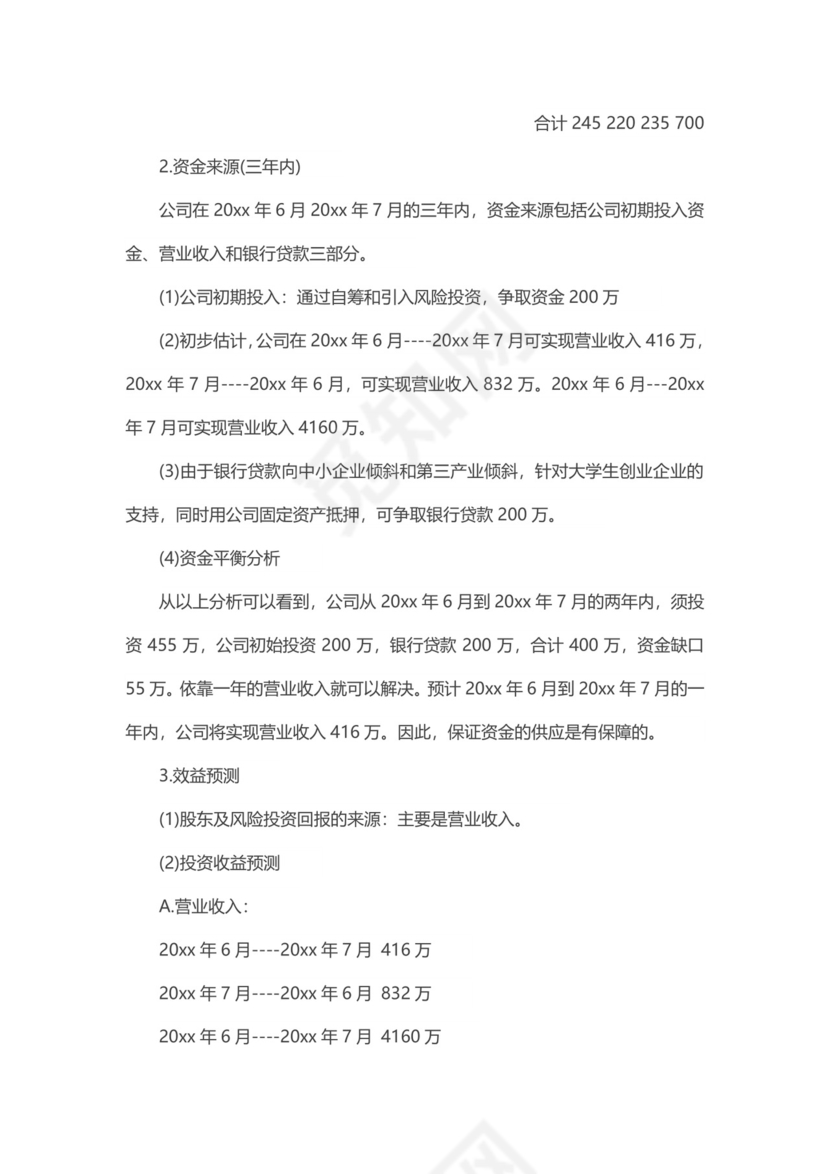 旅游公司项目商业策划书word模板