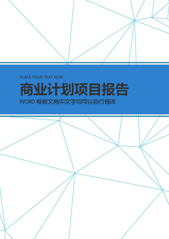 蓝色线条稳重简洁商业项目计划报告封面word模板