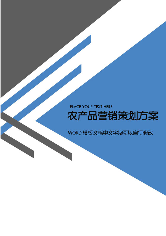 农产品营销策划方案word模板
