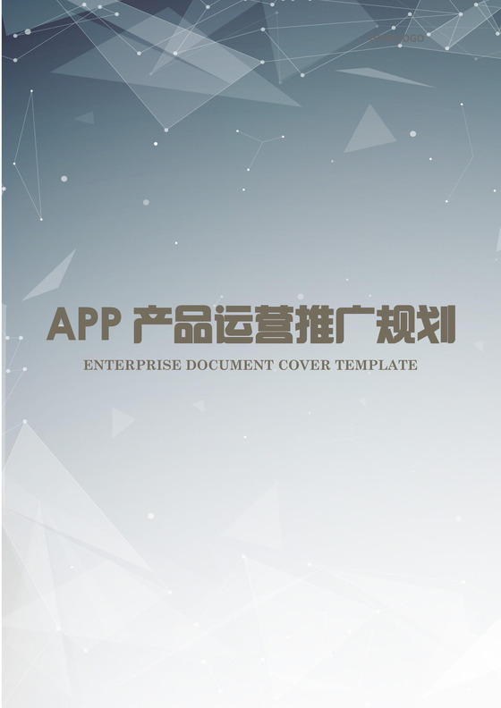 APP产品运营推广策划word模板