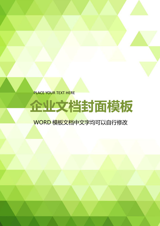 几何时尚炫彩企业文档封面word模板
