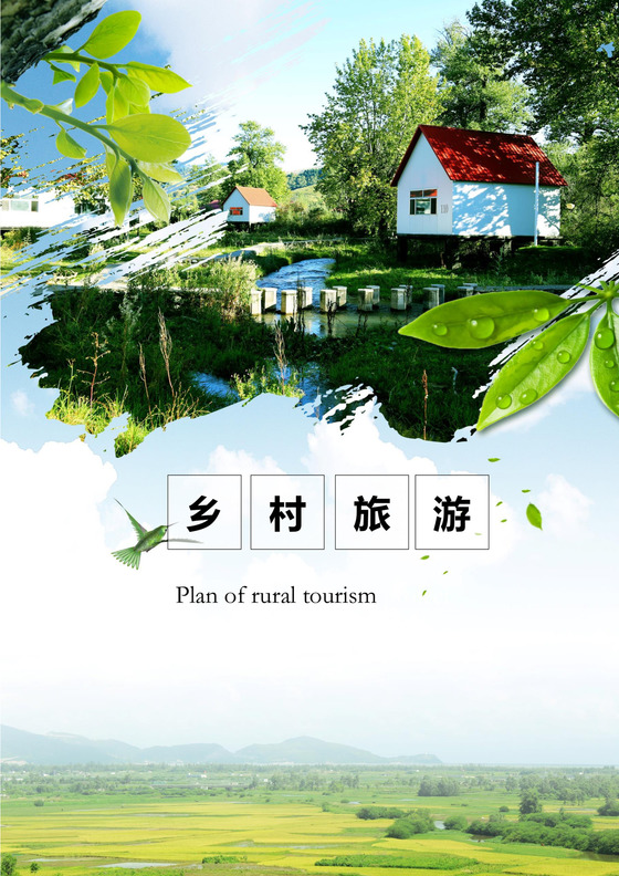 乡村旅游项目策划word文档模板