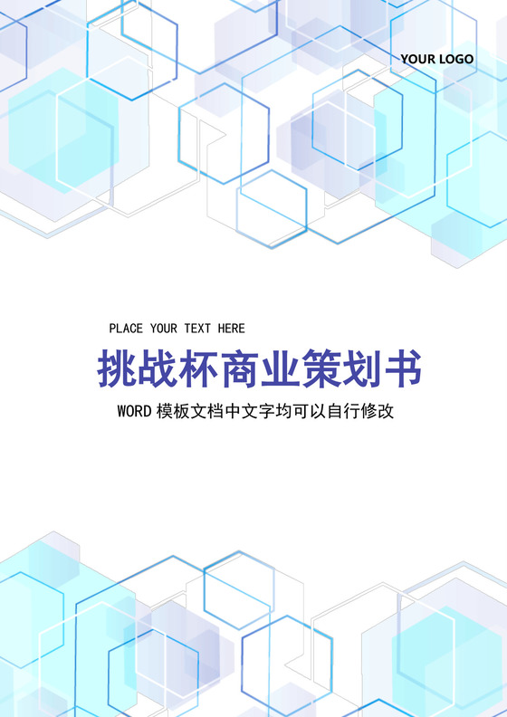 简约正式公司挑战杯商业策划书商业计划书word模板