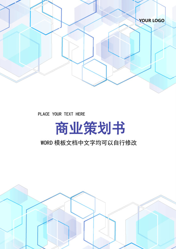 简约正式公司销售商业策划书商业计划书word模板