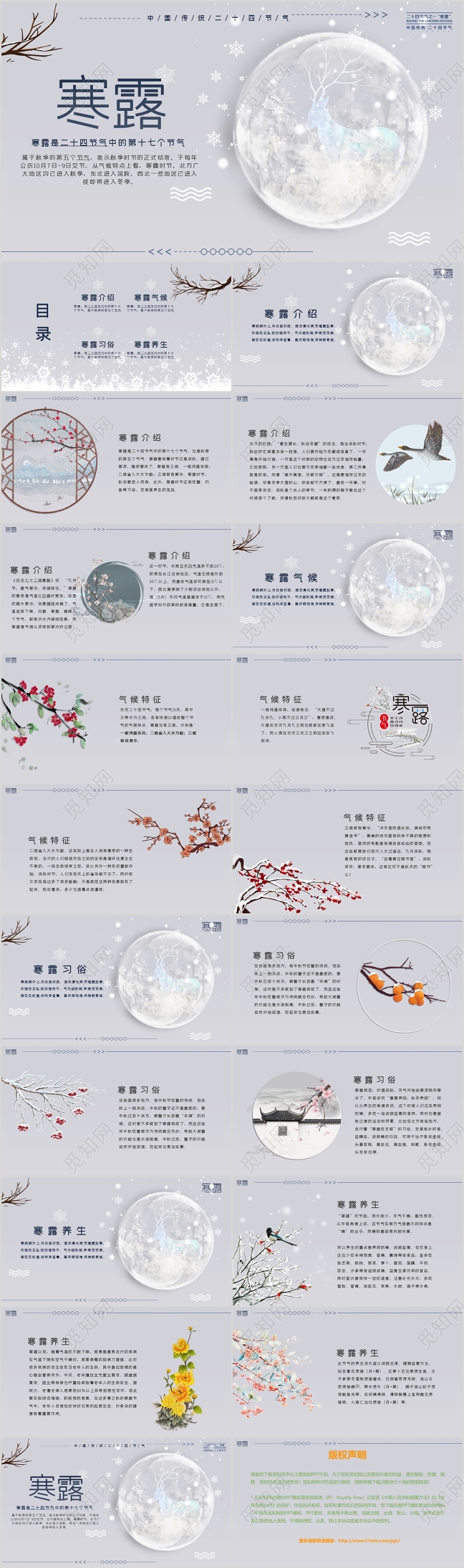 淡紫色文艺清新风格二十四节气之寒露节气介绍PPT模板