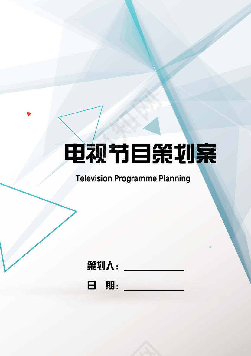电视节目策划方案word模板