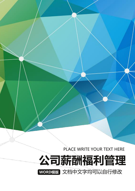 彩色简约薪资福利管理财务管理薪酬福利word模板