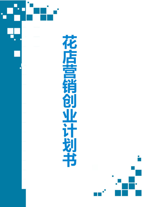 简约创业计划书商业计划书word模板