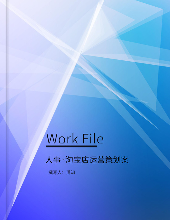 人事淘宝店运营策划方案Word模板