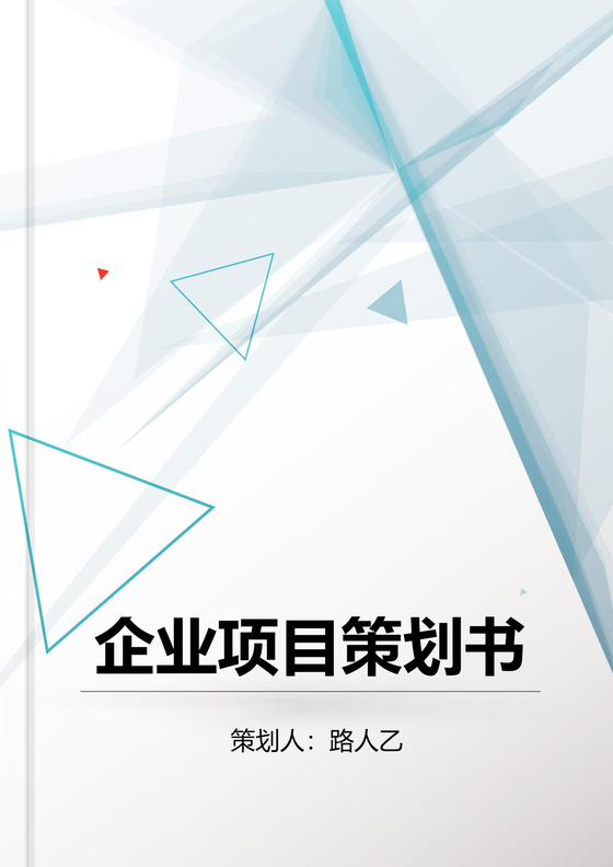 企业项目策划书word文档