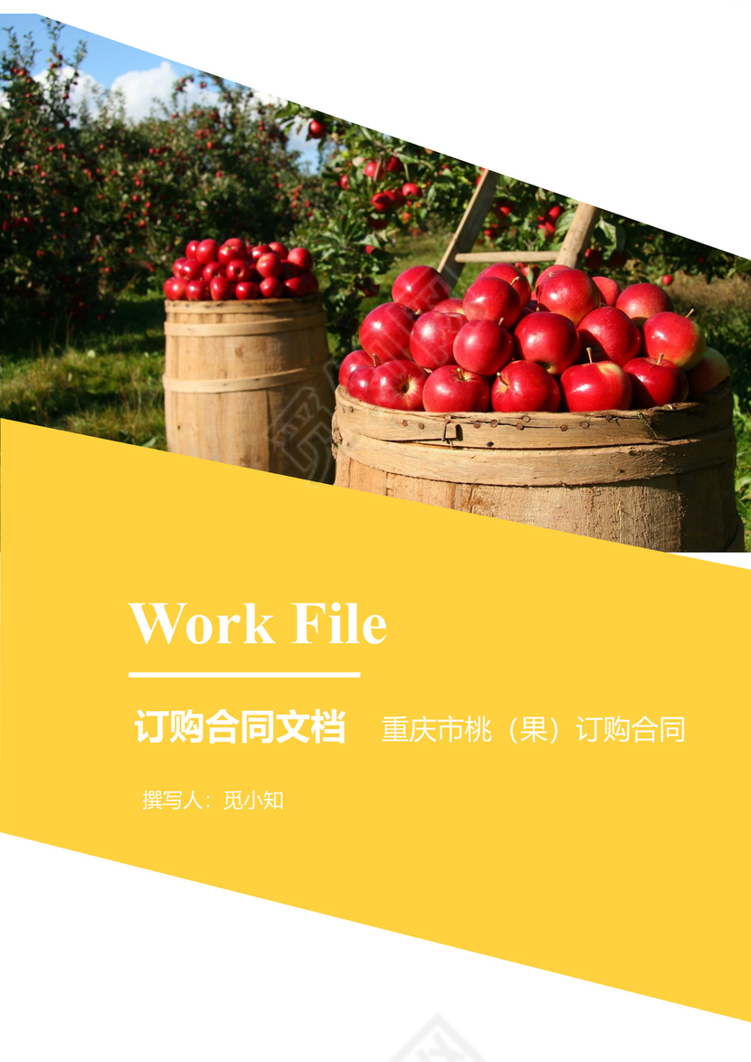 订购合同文档模板