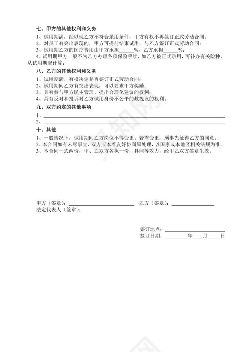 公司劳动试用合同word模板