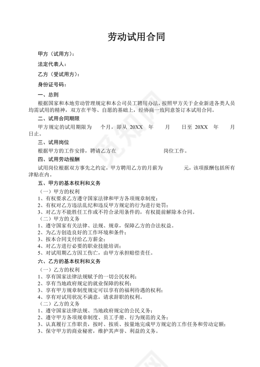 公司劳动试用合同word模板