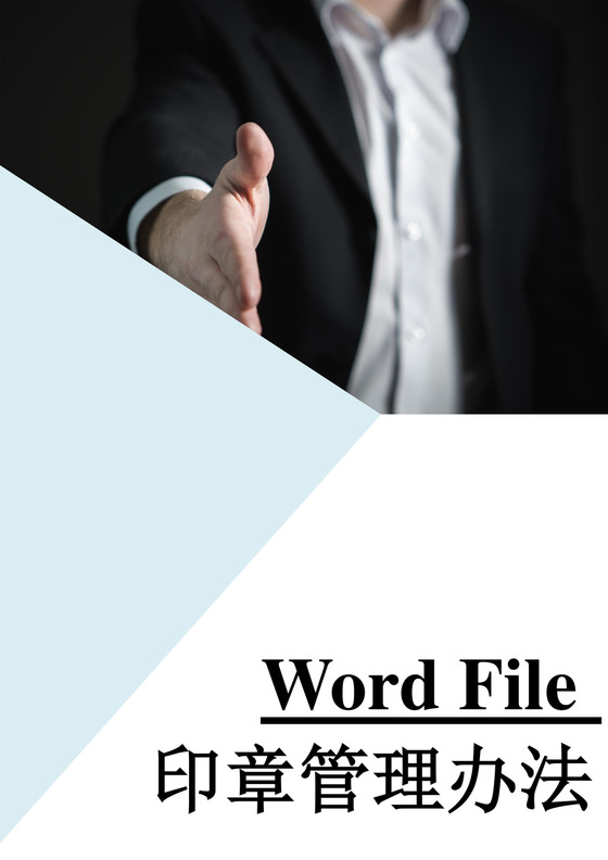 人力资源管理印章管理办法word文档