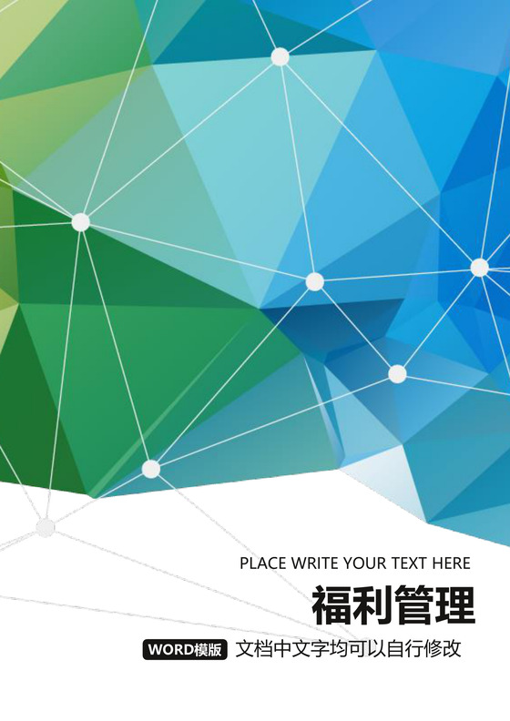 彩色简约正式公司员工福利管理薪酬管理word模板