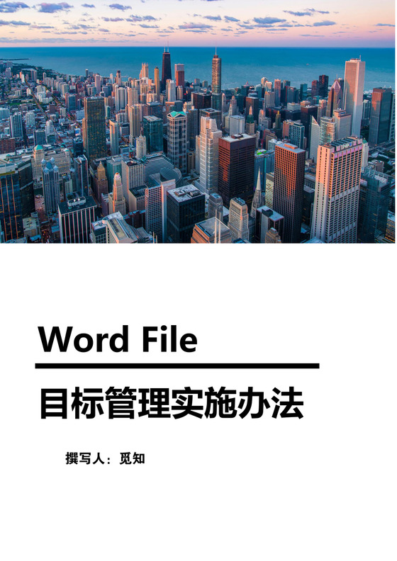 目标管理实施办法word模板