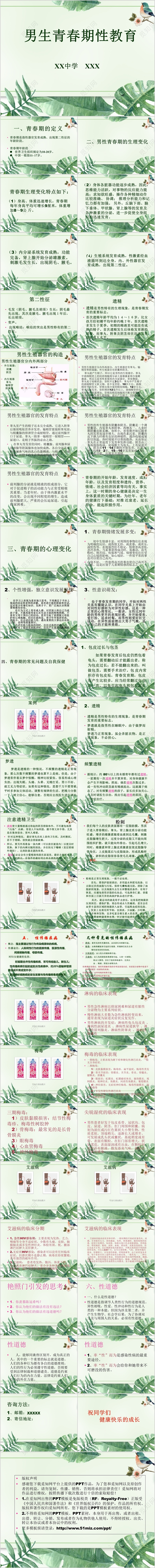 男生青春期性教育性启蒙两性健康少年性健康