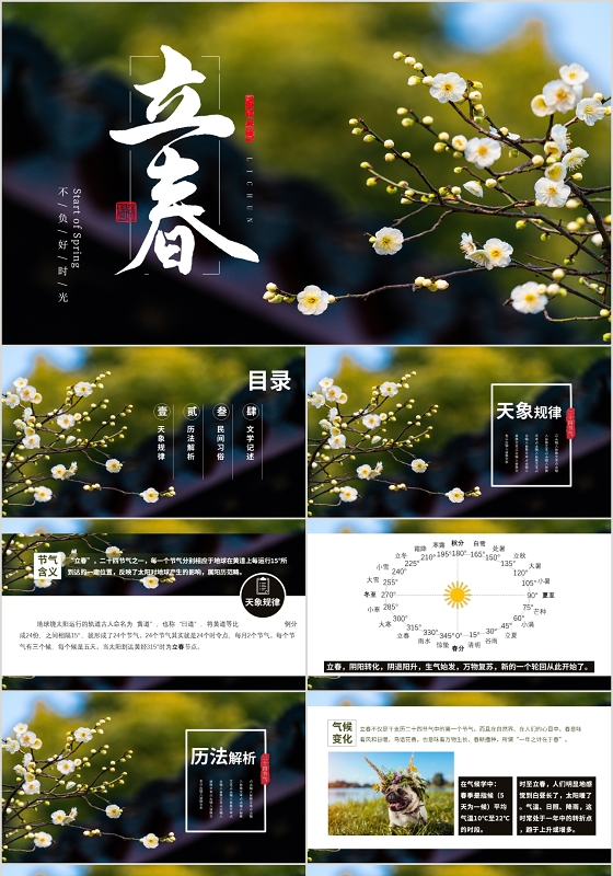 写实风小清新春天二十四节气立春动态PPT模板