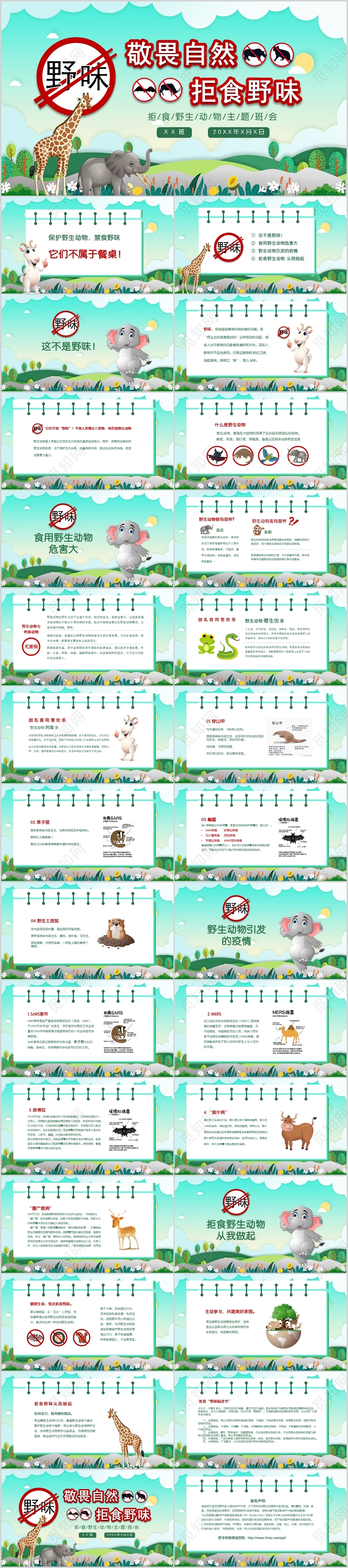 绿色卡通敬畏自然拒食野味主题班会课件PPT