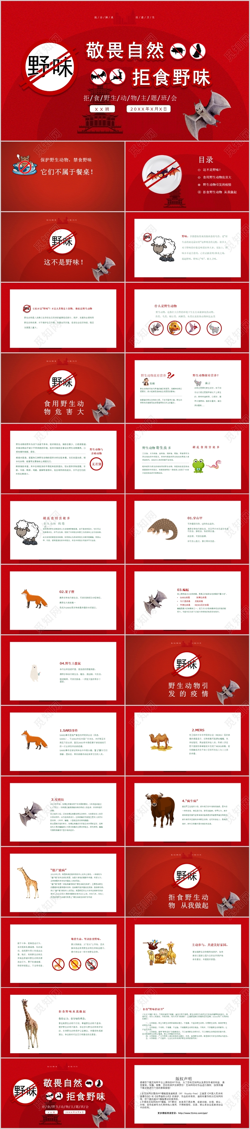 红色简约敬畏自然拒绝野味主题班会PPT模板