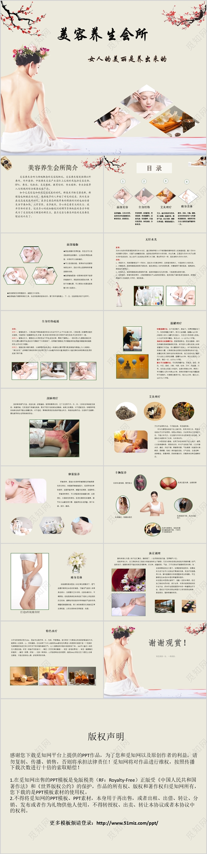 简约美容养生会女人的美丽是养出来的主题PPT模板